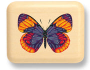 2" Flat Narrow Aspen - Bright Butterfly