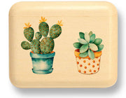2" Flat Narrow Aspen - Cactus