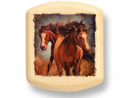 2" Flat Wide Aspen - Horse Play