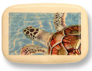 3" Med Wide Aspen - Sea Turtle