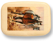 3" Med Wide Aspen - Mustangs