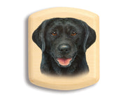 2" Flat Wide Aspen - Black Labrador