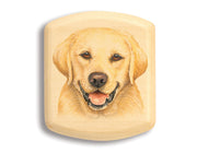 2" Flat Wide Aspen - Yellow Labrador