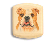 2" Flat Wide Aspen - English Bulldog