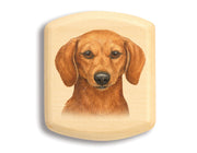 2" Flat Wide Aspen - Red Dachshund