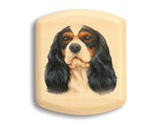 2" Flat Wide Aspen - Cavalier King Charles Spaniel