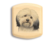 2" Flat Wide Aspen - Havanese