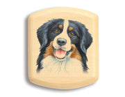 2" Flat Wide Aspen - Bernese Mountain Dog