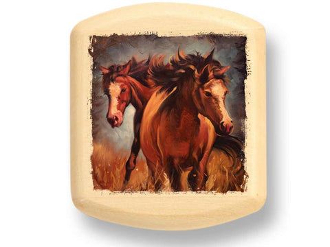 Top View of a 2" Flat Wide Aspen with color printed image of Horse Play